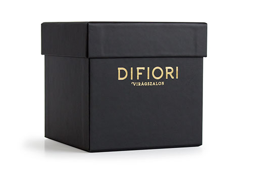 Levehető fedeles doboz - Difior